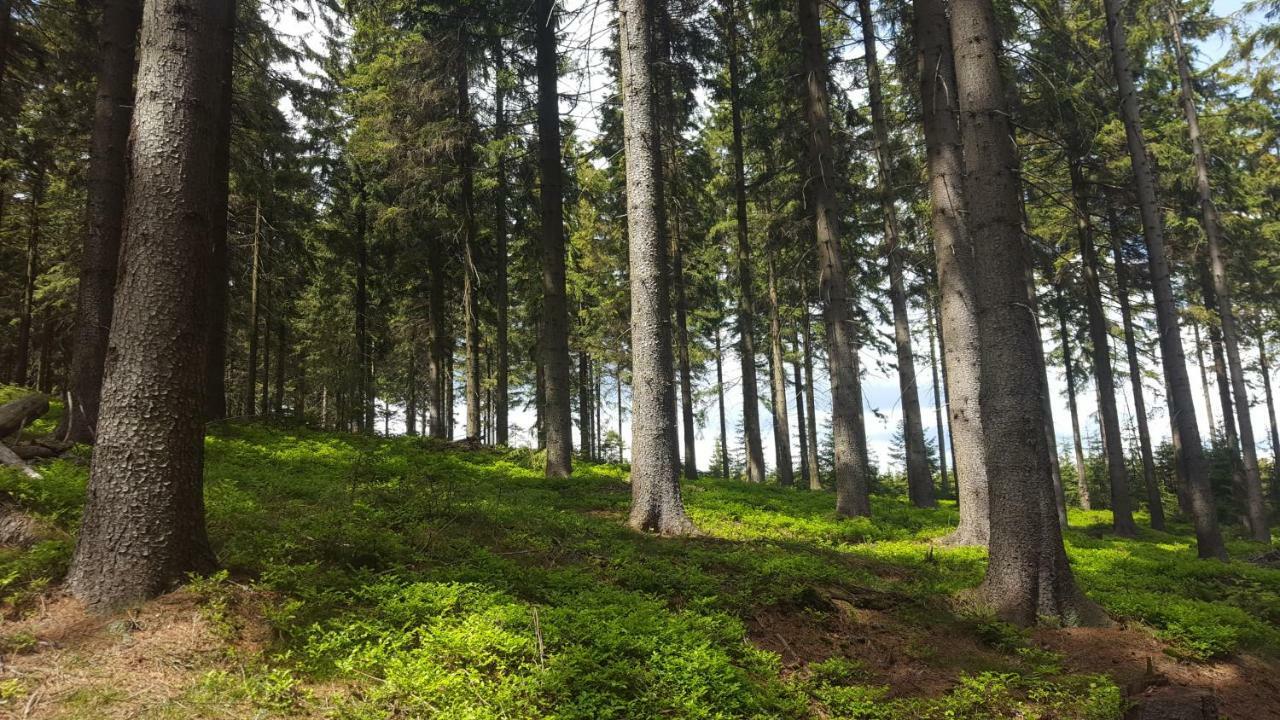 Hotel RS BERNOV Zátiší Nejdek Exteriér fotografie